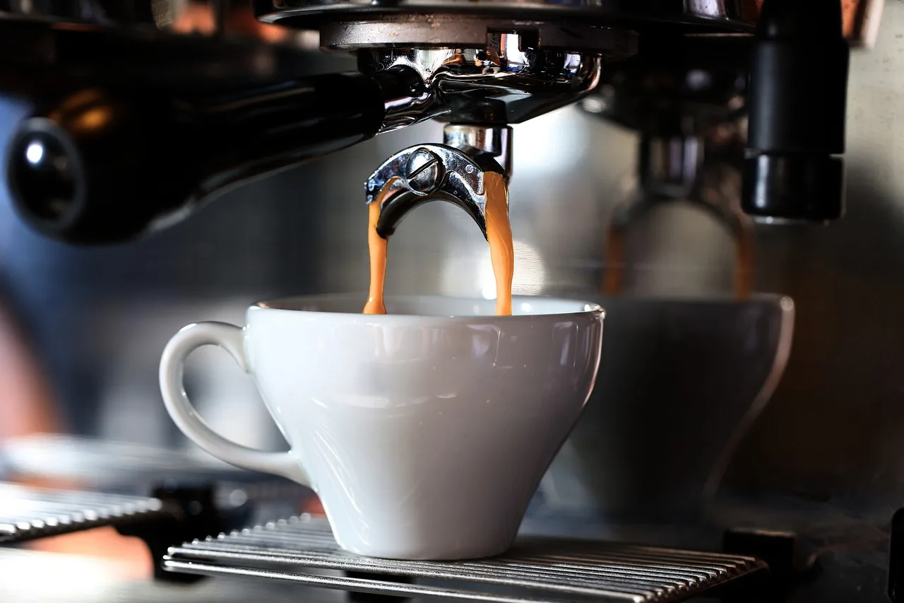 Curso Gratis de Barista: ¿Realmente es gratis y te dan certificado?